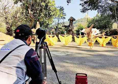 全实录片普洱茶：央视2019年普洱茶主题录片