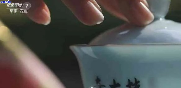 全实录片普洱茶：央视2019年普洱茶主题录片