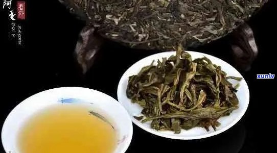 古树普洱茶哪年得好喝？古树普洱茶品种，兴起年份与一般年龄。