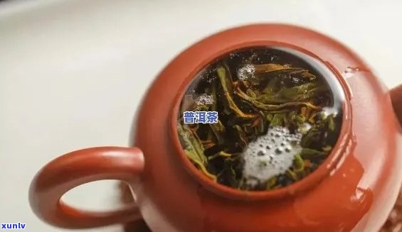 泡普洱茶起雾好还是不好？出现泡沫代表什么含义？如何处理？