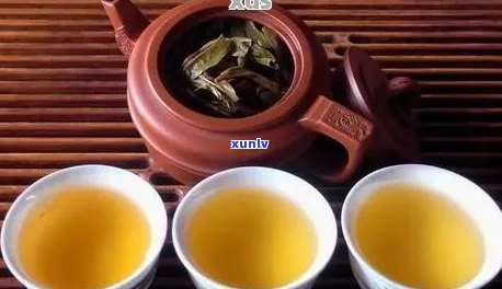 泡普洱茶起雾的影响：是否影响茶叶的口感和香气？如何解决这一问题？