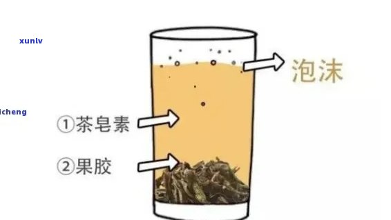 探究普洱茶泡沫产生的物理原理及其对茶叶品质的影响