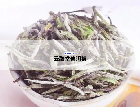 云融堂普洱茶口感及价格体验：好喝吗？多少钱？