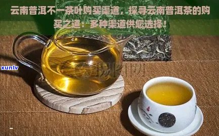 云融堂普洱茶品质、口感、价格及购买渠道全面解析，看这一篇就够了！