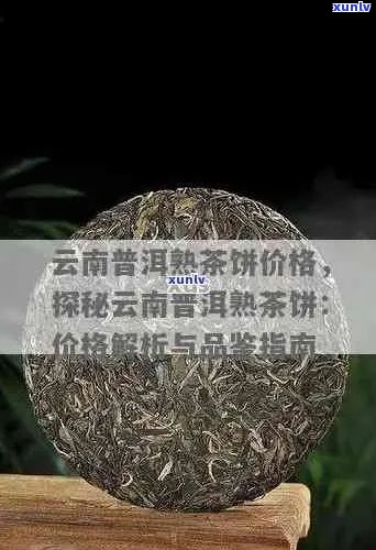 云融堂普洱茶品质、口感、价格及购买渠道全面解析，看这一篇就够了！