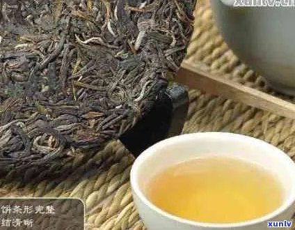 新 '云南普洱茶品质与口感的全方位解析——云臻普洱的真实体验'