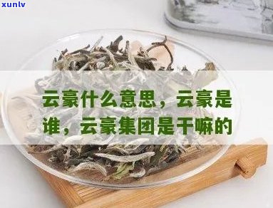 云臻是什么意思啊：云臻集团，含义是指云臻这个名字所代表的意义和价值。