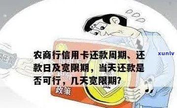 湖北农村地区信用卡逾期现象探析及相关政策解读