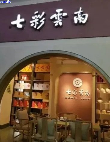 七彩云南的普洱茶专卖店：探寻最地道的云南茶香