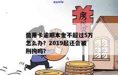 信用卡逾期五万怎么办：2019年起，逾期未还款五万以上会被刑拘。如何办理？