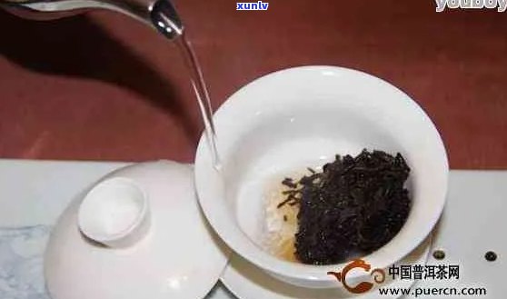 普洱茶可以洗两次吗