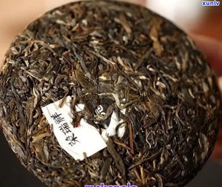 普洱茶冰种是什么意思：探讨普洱茶中冰种的含义及品质特点