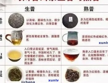 普洱茶中的活性成分引发身体热感：原因与影响解析