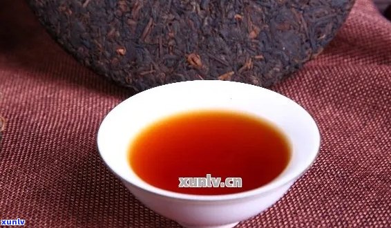 '普洱茶喝第几泡茶？探究普洱茶各泡的口感特点'