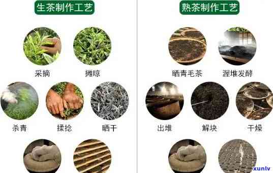 韵海之巅普洱茶质量：从原料到 *** 工艺全面解析，助您挑选优质茶叶