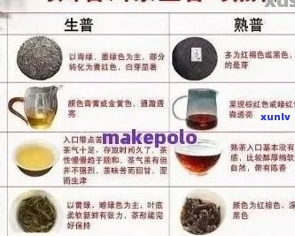 泰号普洱茶全方位解析：品质、口感、冲泡与收藏，一次搞定！