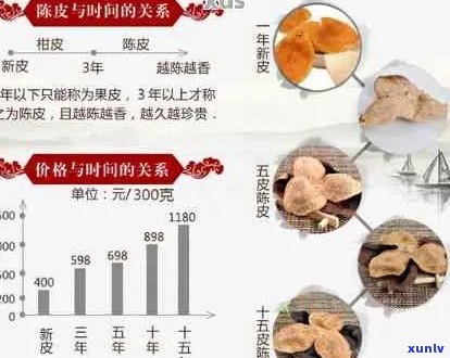 全面了解陈皮普洱茶的价格、品质与选购：一次详细的查询和解答