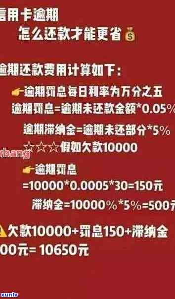 信用卡逾期还款策略：如何选择更低成本方案，同时避免额外费用和信用影响？