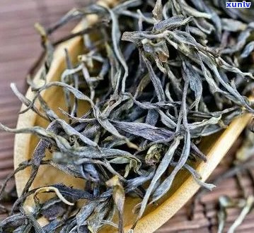 古树单芽普洱茶：价格、种类与品质解析