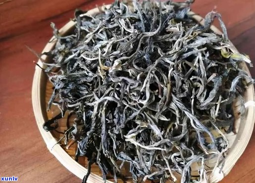 古树单芽普洱茶：价格、种类与品质解析