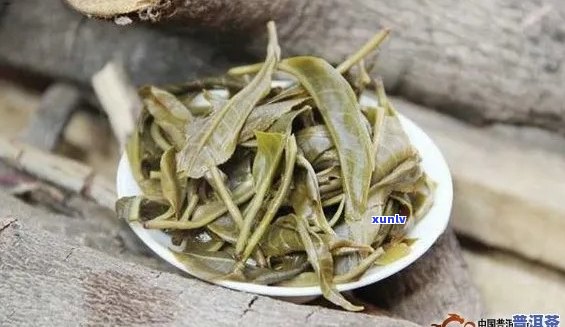 古树单芽普洱茶：价格、种类与品质解析