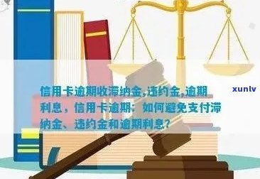 正山易武普洱茶价格大全：全面解析各类产品及市场行情