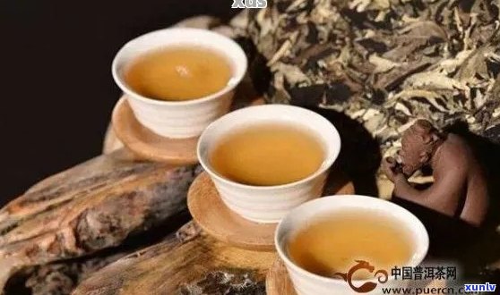 古树普洱茶叶：品种特点、 *** 工艺与品饮技巧全方位解析