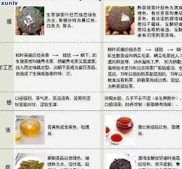 古树普洱茶的内含物质有哪些：全面解析其营养成分与功效