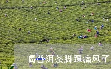 德凤普洱茶旁蠏脚找