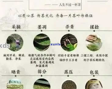 澜沧江畔的独特魅力：探索普洱茶的品种、 *** 工艺与口感特点