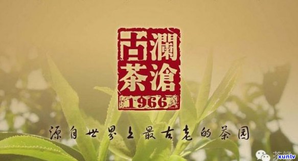 澜沧普洱茶四大招牌