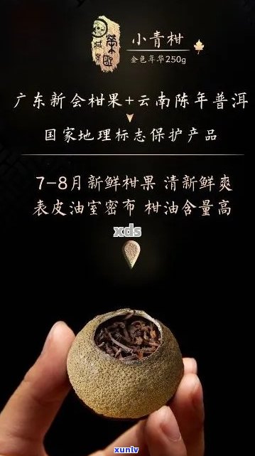 匠小青柑普洱茶：品鉴与选择指南