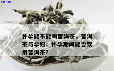 孕早期喝普洱茶的好处与注意事项：一篇全面指南