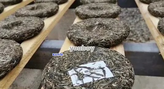 红普洱茶：品种、产地、 *** 工艺及品鉴 *** 的全面解读