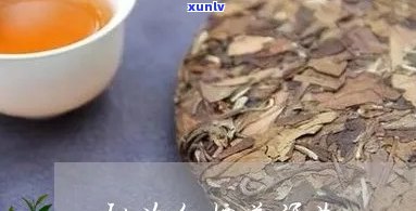 红普号普洱茶好不好