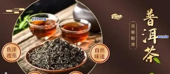 探究生普洱茶的健益处：科学研究显示的更大功效是什么？