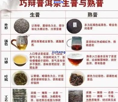 生普洱茶的全面解析：功效、副作用与适用人群一览无余