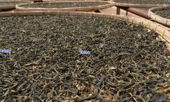 中益普洱茶场：地址， *** 与价格解析，品鉴中益茶厂高品质普洱茶