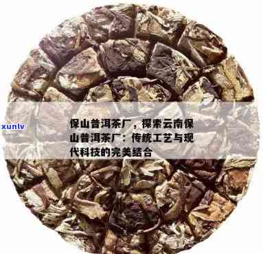 勐仑顺通号茶厂：传统工艺与现代科技的完美融合