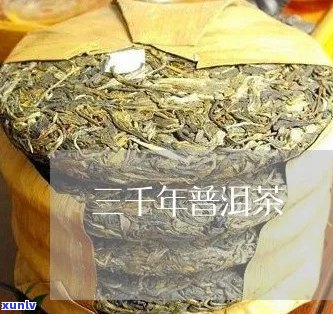 千日醉普洱茶好喝吗