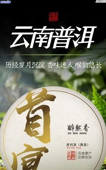 千日醉普洱茶好喝吗