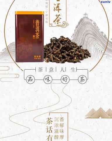 华方苑普洱茶叶熟茶