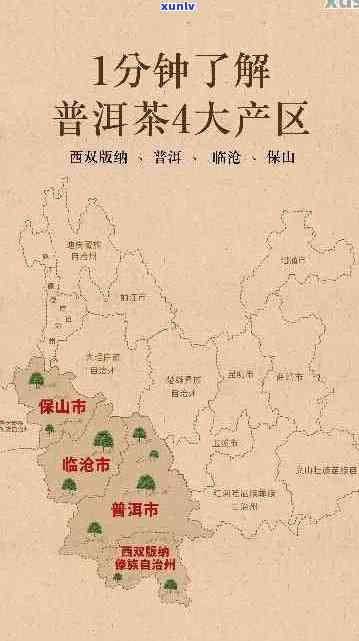 临沧产区普洱茶完整列表及特点：木小木种类、产地与特色