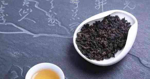 陕西普洱茶：十大名牌推荐，品味古树韵味与陈化魅力的完美结合