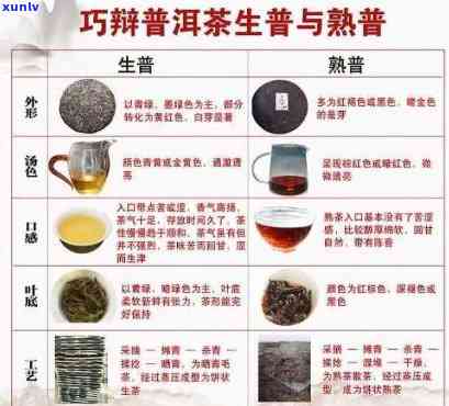 天福茗茶普洱：品茗文化、茶叶种类、泡茶技巧与收藏价值全方位解析