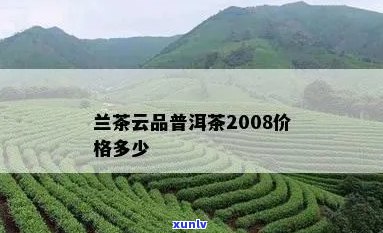 兰茶云品普洱茶2008年的价格、品质、口感以及购买渠道全面解析