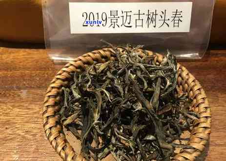 云南古树茶十二块田，高山韵味品鉴宴