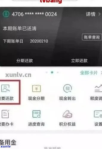 信用卡逾期怎么查详情记录：如何查询逾期记录及还款信息？