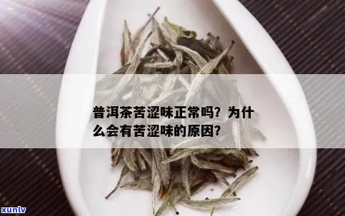 普洱茶的苦味正常吗？如何让普洱茶口感更佳？