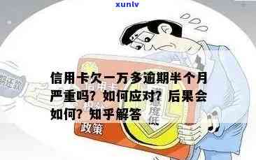 新信用卡逾期1万多次的后果及应对措，为你解决信用问题带来的困扰